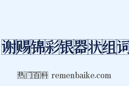 谢赐锦彩银器状组词是什么意思的图片